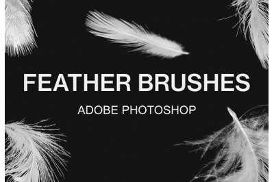 Adobe Photoshop feather brush pack paint brushes set