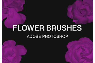 Adobe Photoshop flower brush pack paint brushes set