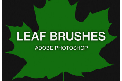 Adobe Photoshop leaf brush pack paint brushes set