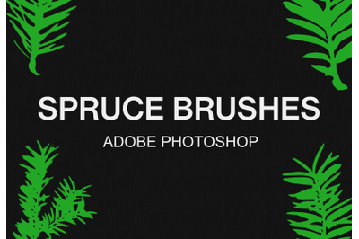 Adobe Photoshop fir branch brush pack paint brushes set
