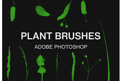Adobe Photoshop plant brush pack paint brushes set