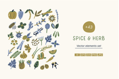 Spice and Herb vector set