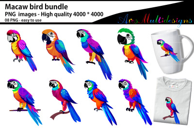 Macaw bird clip art bundle