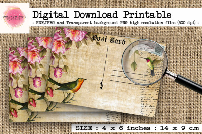 Vintage bird illustration postcards,,Vintage ephemera printable