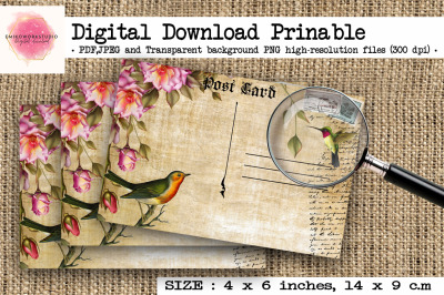 Vintage bird illustration postcards&2C;&2C;Vintage ephemera printable