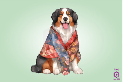 Bernese Mountain Dog in Kimono PNG