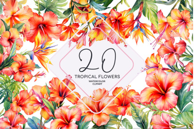 Watercolor Tropical Flowers Clipart