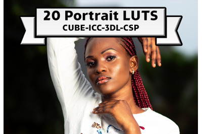 Portrait LUT collection photo filter color table