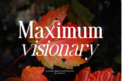 Maximum Visionary Ligature Family Serif Font