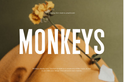 Monkeys Sans Serif Font