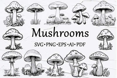 Mushrooms SVG Clipart