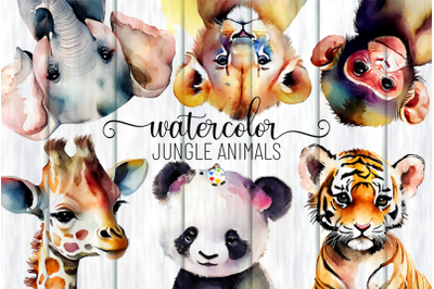 Jungle Animals - Watercolor Clipart Illustrations