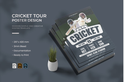 Cricket Tour - Poster