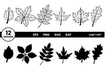 Autumn Leaves Svg Bundle | Silhouette | Cut Files