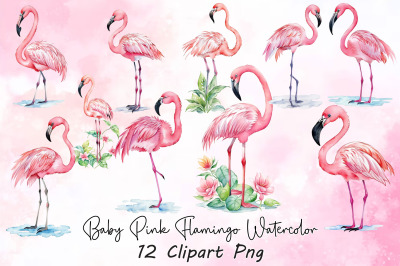 Baby Pink Flamingo Watercolor Clipart