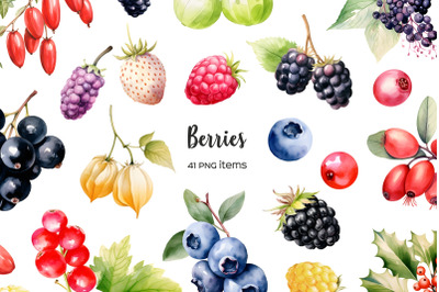 Watercolor berries clipart. Wild berry clip art 41 PNG