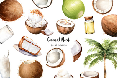 Watercolor coconut clipart. Coconut clip art. Tropical fruit PNG