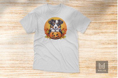 Cute Australian Shepherd Dog Halloween