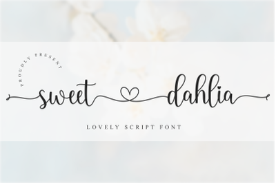 Sweet Dahlia