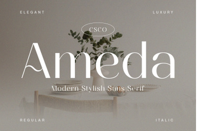 Ameda - Modern Stylish Sans Serif