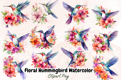 Floral Hummingbird Watercolor Clipart