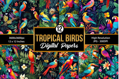 Colorful Tropical Birds Pattern Digital Papers