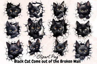 Black Cat Come out of the Broken Wall