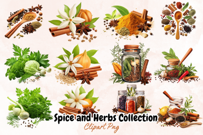 Spice and Herbs Collection Clipart