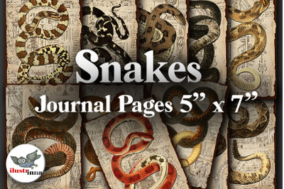 Halloween Snakes Journal Pages 5&amp;&23;039;&amp;&23;039;x7&amp;&23;039;&amp;&23;039;