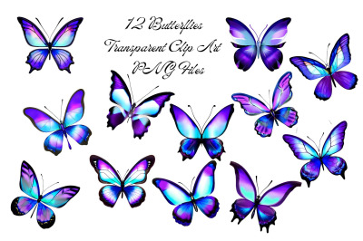 12 Blue and Purple Butterfly Transparent PNG File images