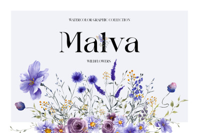 Malva. Watercolor meadow flowers.