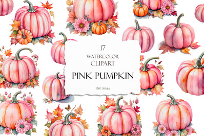 Watercolor Pink Pumpkins PNG