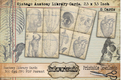 Vintage anatomy library cards,vintage ephemera card