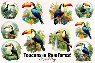 Toucan in Rainforest Sublimation