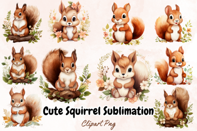 Cute Squirrel Sublimation Clipart