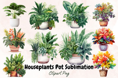 Houseplants Pot Sublimation Bundle