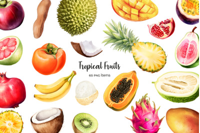 Watercolor tropical fruit clipart. Exotic fruits clipart 64 PNG