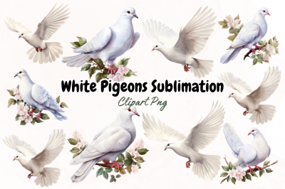 White Pigeons Clipart