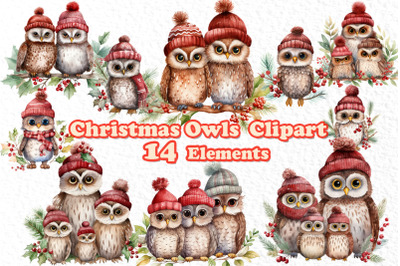 Cute Christmas Owls Clipart Christmas Clipart Winter clipart
