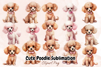 Cute Poodle Sublimation Clipart Bundle