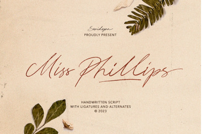 Miss Phillips - Handwritten Script