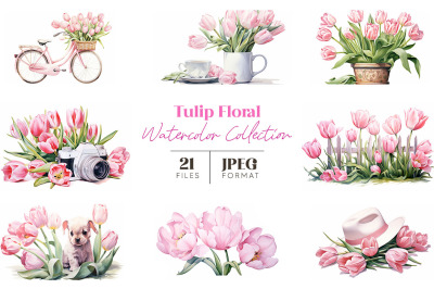 Tulip Floral