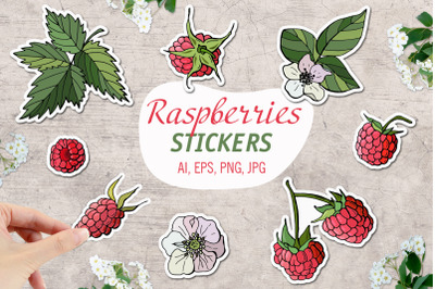 Raspberries &2F; Printable Stickers Cricut Design