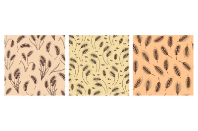 Hand drawn wheat seamless pattern. Wheat ear and grain motifs for natu