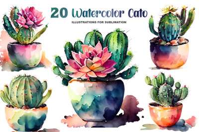 Watercolor Cacto Illustrations for Sublimation Bundle