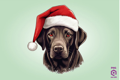 Christmas Labrador Retriever Dog 1