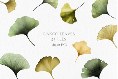 Ginkgo leaves Watercolor Clipart PNG