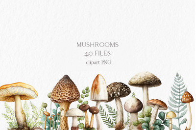 Mushrooms Watercolor Clipart PNG