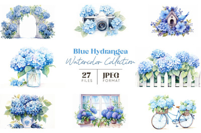 Blue Hydrangea