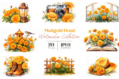 Marigold Floral